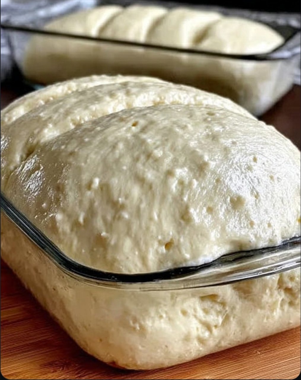 DOUGH FOR HOMEMADE BREAD