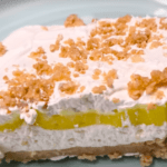 Mexican shredded chicken