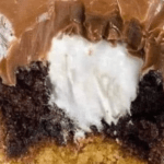 INSTANT POT ROUND STEAK & GRAVY