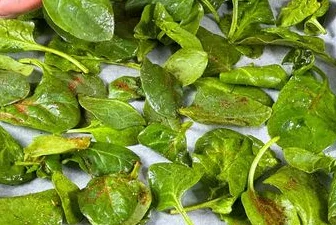 healty meal, low carbs meals, keto meal