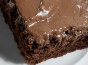 Chocolate Depression Cake