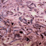 DELICIOUS SALAD RECIPE!