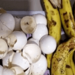 Rice Krispie Peanut Butter Balls