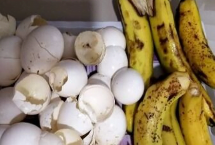 healty meal, low carbs meals, keto meal