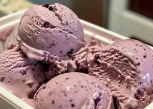 Low Carb High Protein Blueberry Ice Cream