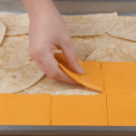 The Quickest and Tastiest Chicken