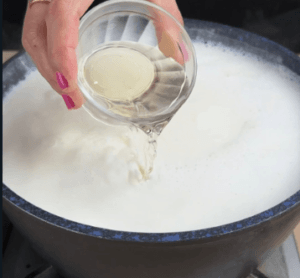 Homemade Cheese