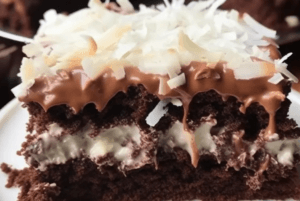 Chocolate Mound Cake