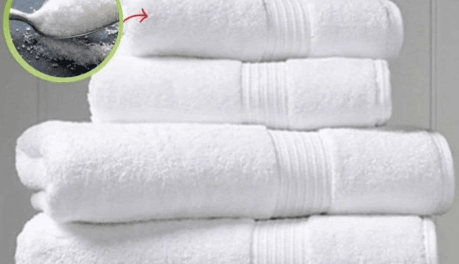 Health meal, low carbs meals, keto meal