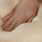 Savory Breakfast Casserole