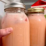 Chunky Monkey Cottage Cheese Ice Cream