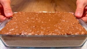 Homemade Chocolate and Milk Ice Cream with Peanuts