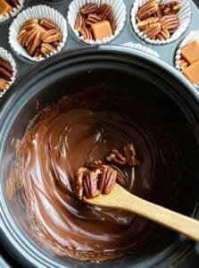 Easy Crockpot Turtles
