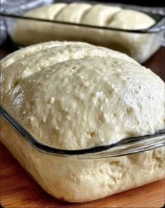 DOUGH FOR HOMEMADE BREAD