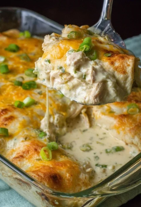 Easy Cream Cheese Chicken Enchiladas Recipe Best Cream Cheese Chicken Enchiladas Casserole Homemade Chicken Enchiladas Wit...