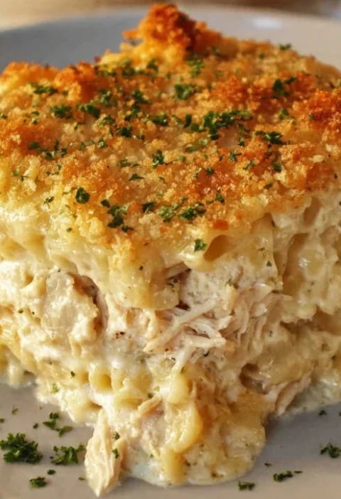 Million Dollar Chicken Casserole Recipe Best Million Dollar Chicken Casserole Easy Million Dollar Chicken Casserole Millio...