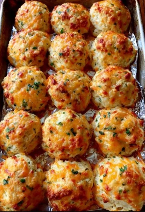 Oven Baked Cheddar Jalapeño Biscuits Recipe Easy Cheddar Jalapeño Biscuits Homemade Spicy Cheddar Jalapeño Biscuits Ove...