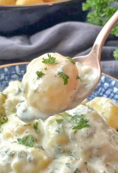 Country-style Victorian Stewed Potatoes Recipe Victorian Era Potato Stew Guide How To Make Country-style Victorian Potatoe...