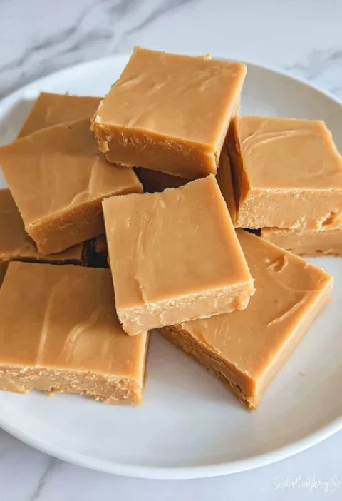 Grandma's Homemade Peanut Butter Fudge Recipe Easy 2-ingredient Fudge Ideas Best Peanut Butter Fudge For Beginners Quick P...