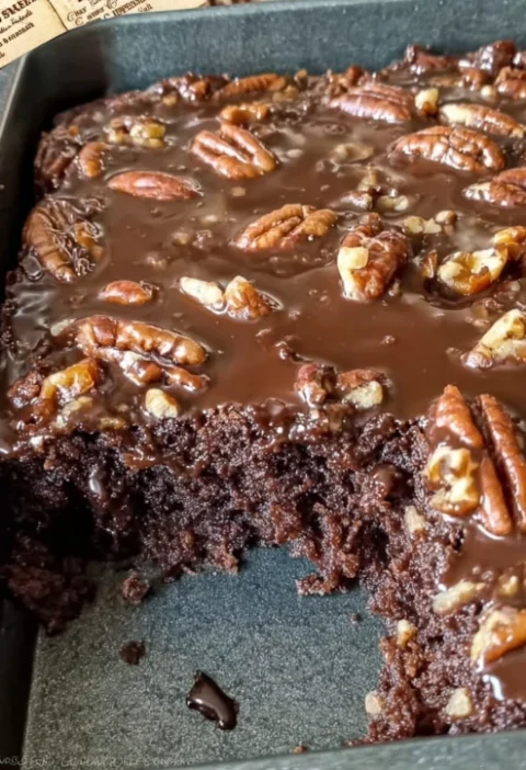 Old Southern Chocolate Pecan Sheet Cake Recipe Best Chocolate Pecan Cake Southern Style Homemade Southern Pecan Chocolate ...