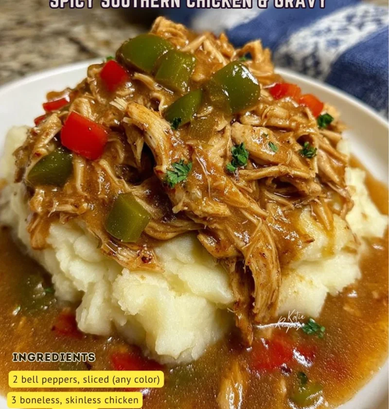 Spicy Southern Chicken Gravy