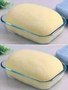 Cozy Grandma’s Ciabatta bread