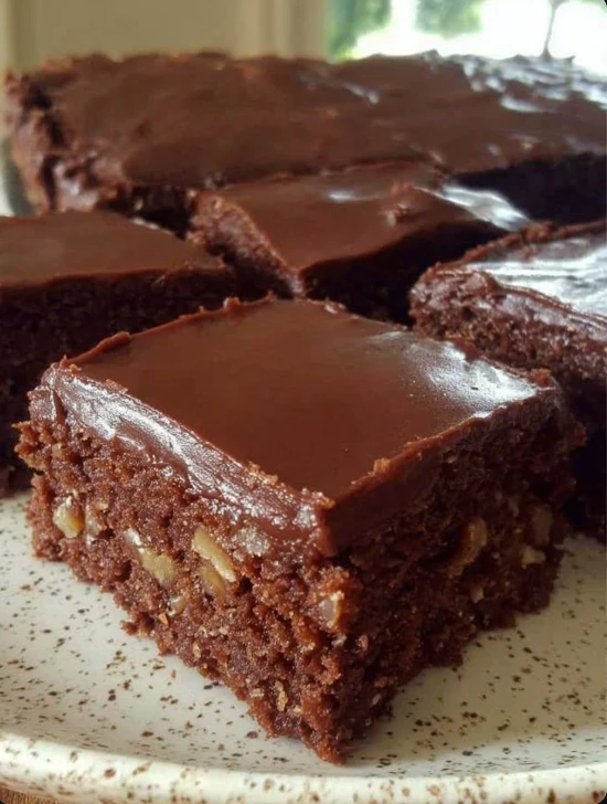 Cozy Homestead Texas Turtle Sheet Cake