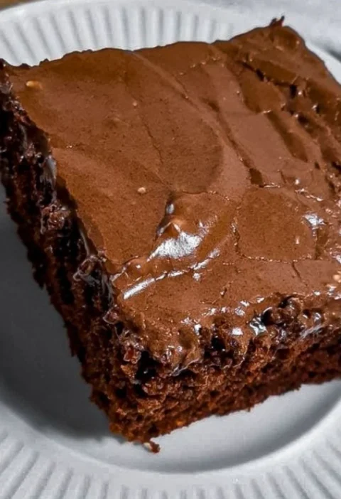 Chocolate Depression Cake