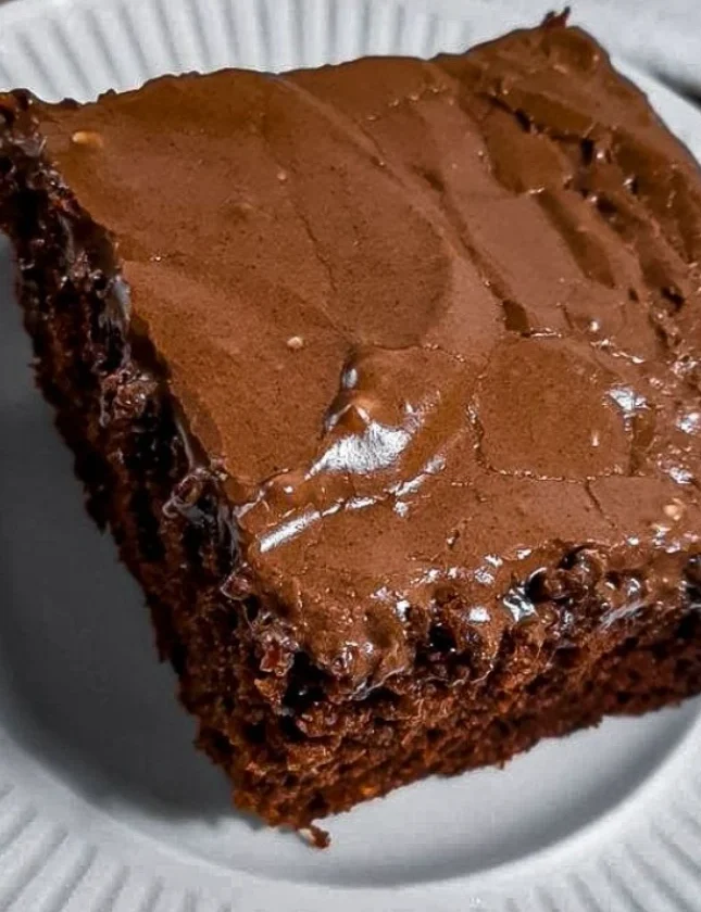 Chocolate Depression Cake
