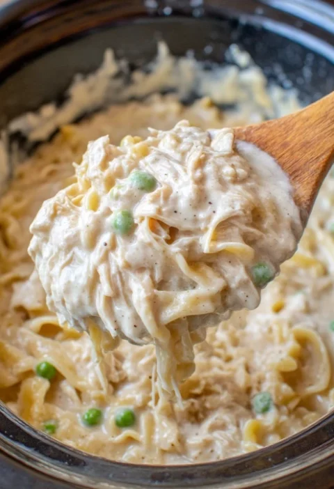 Slow Cooker Chicken Noodles