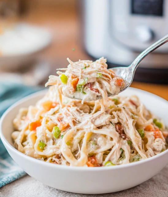 Slow Cooker Chicken Noodles