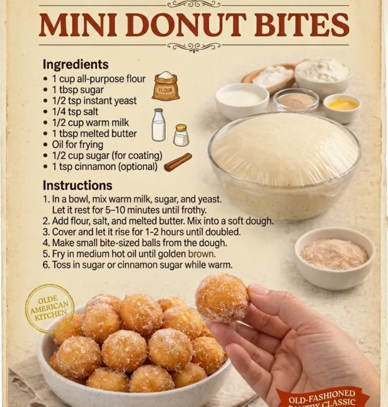 Mini Donut Bites