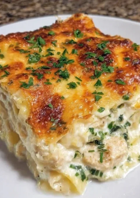 Chicken Alfredo Lasagna