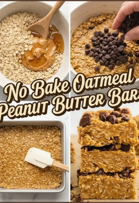 No Bake Oatmeal Peanut Butter Bars