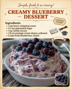 Easy Blueberry Fluff Salad Recipe Perfect for Quick Summer Desserts