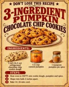 3-Ingredient Pumpkin Chocolate Chip Cookies