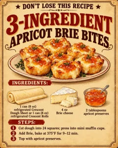 3-INGREDIENT APRICOT BRIE BITES