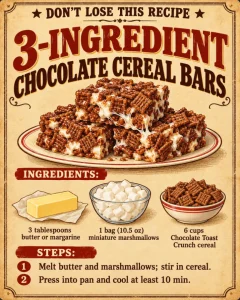 3-INGREDIENT CHOCOLATE CEREAL BARS